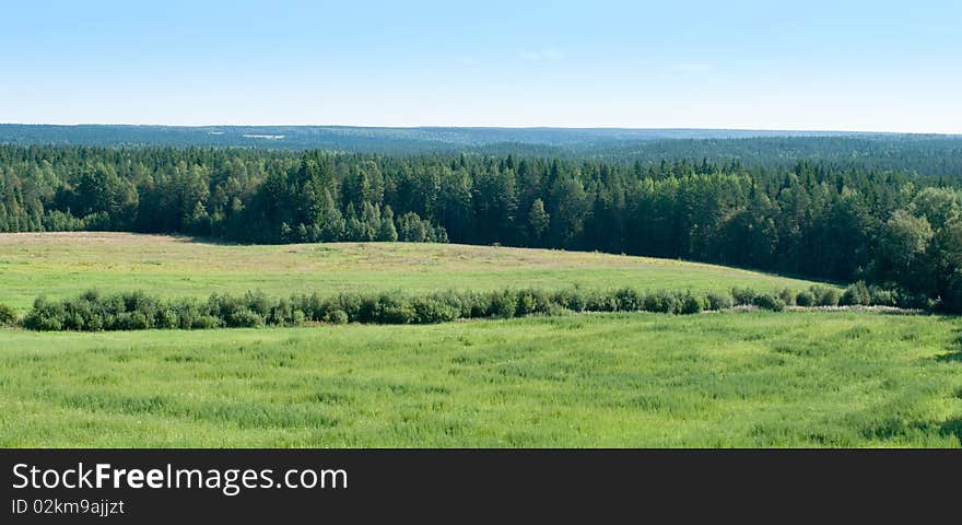 A Field with blue sky and trees