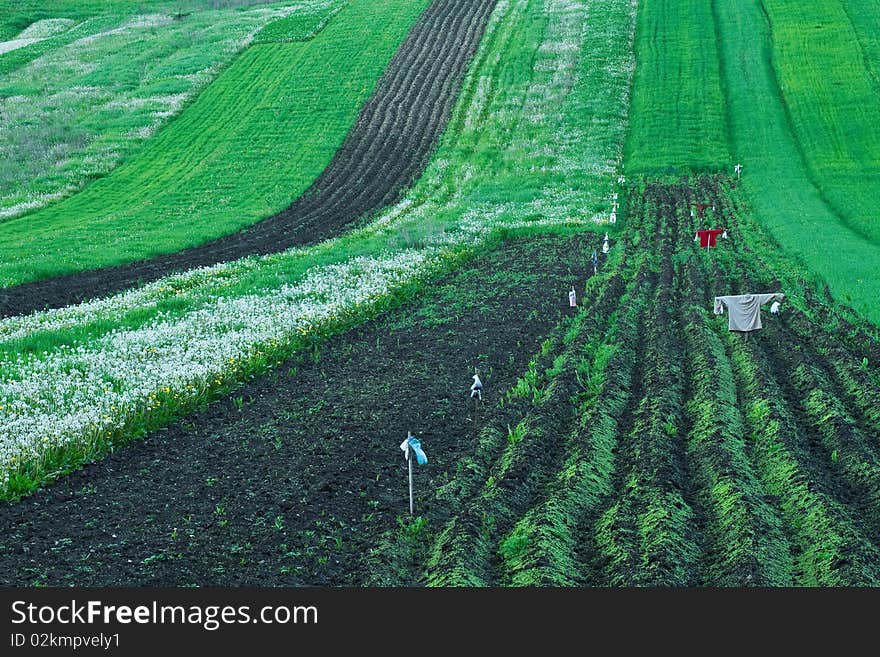 Typical fields in north parth of Slovakia. Typical fields in north parth of Slovakia