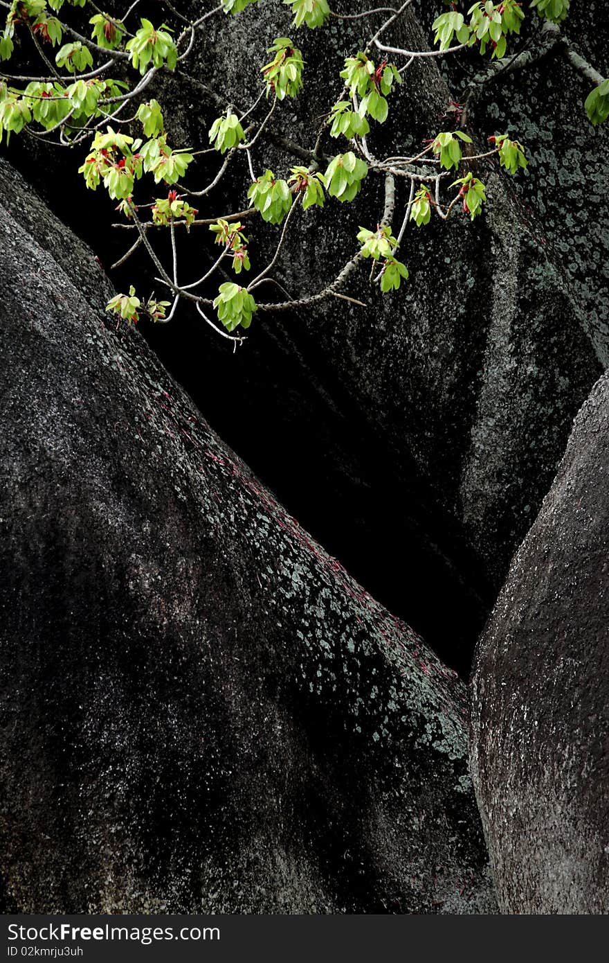 Granite stones on the beach tourism Pacific Islands region. Belitung, Indonesia