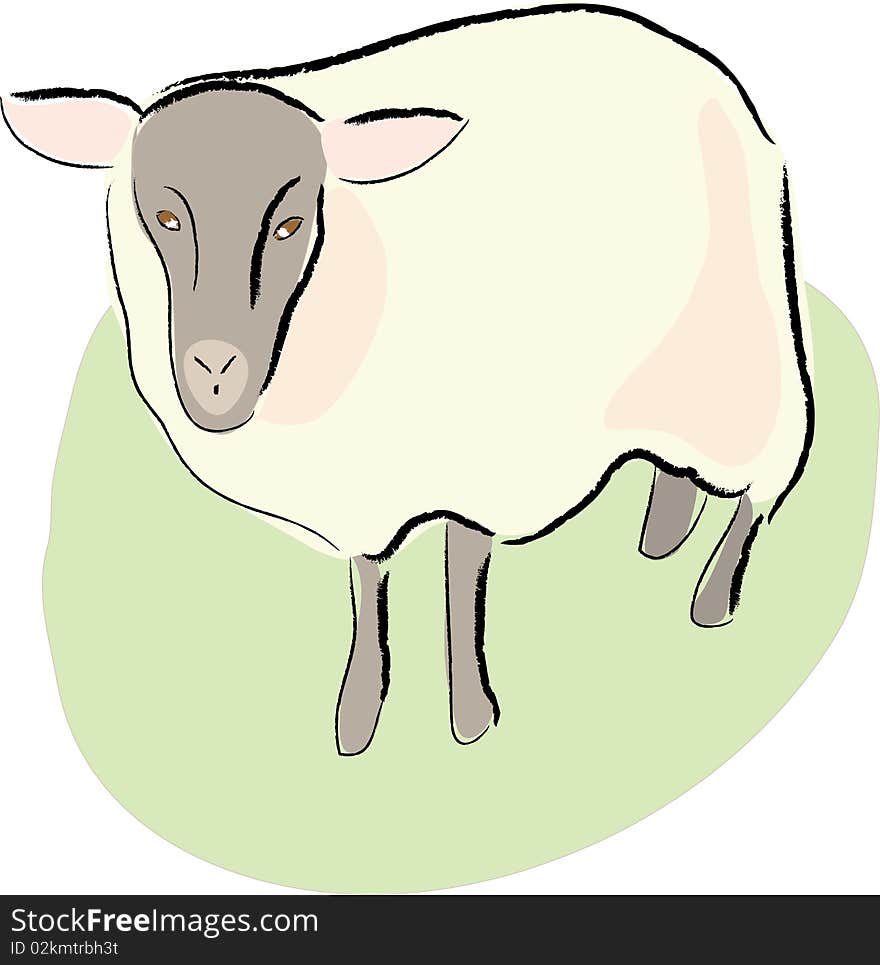 Sheep