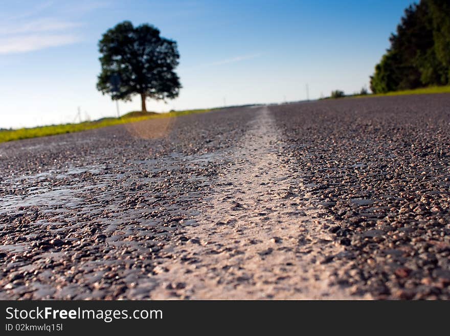 Deserted road leaving afar about a lonely tree