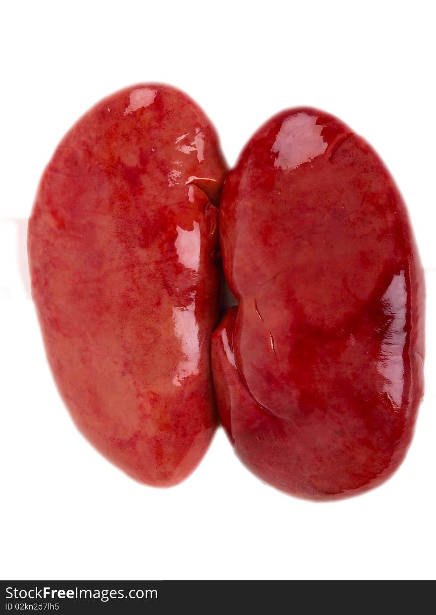 Pig kidney. Close up on white background