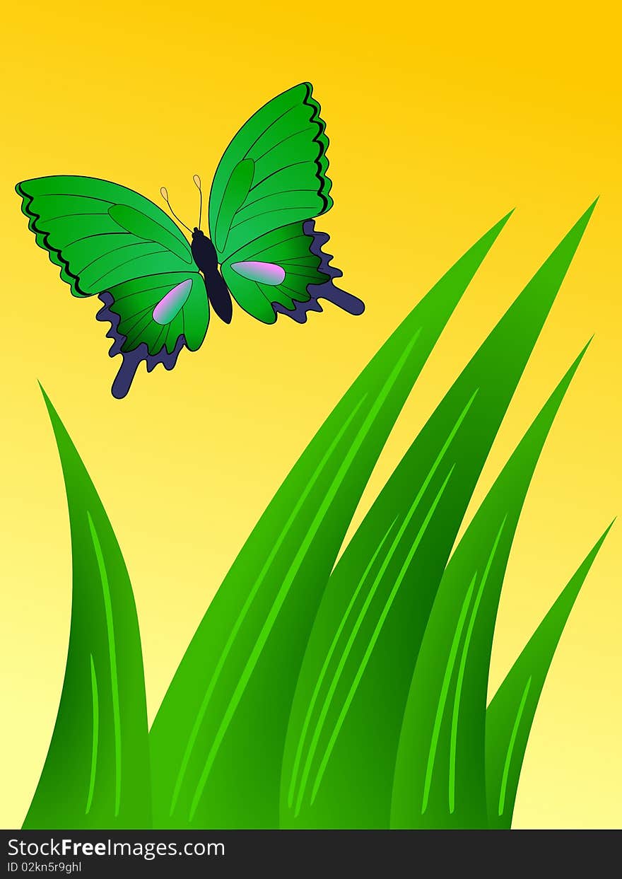 Vector colored composition with butterfly