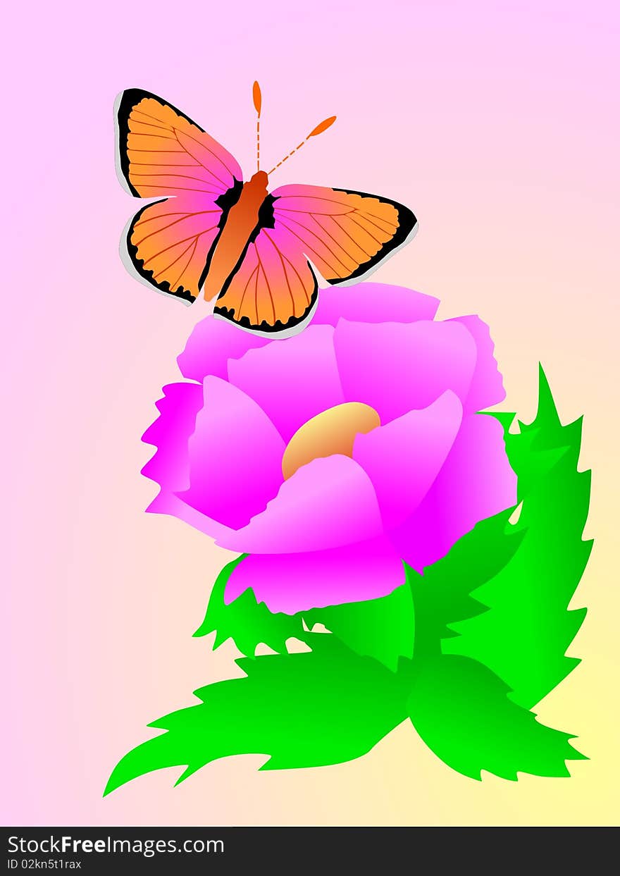 Vector colored composition with butterfly