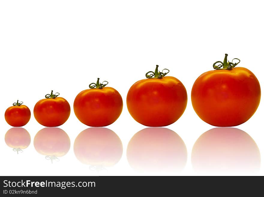 Ripe juicy tomatoes on a white background