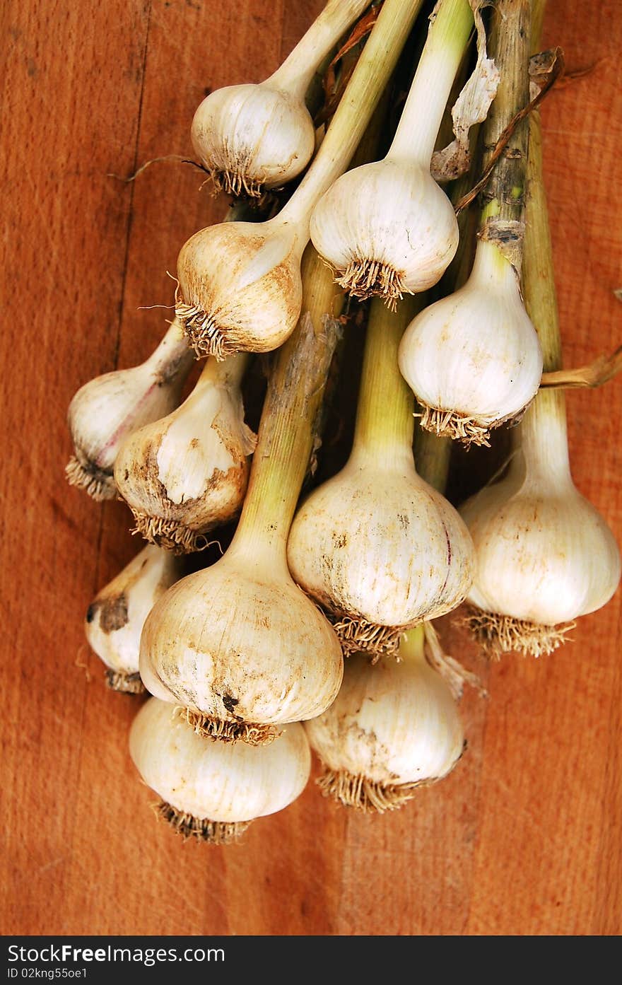 Garlic bunch on cutting board