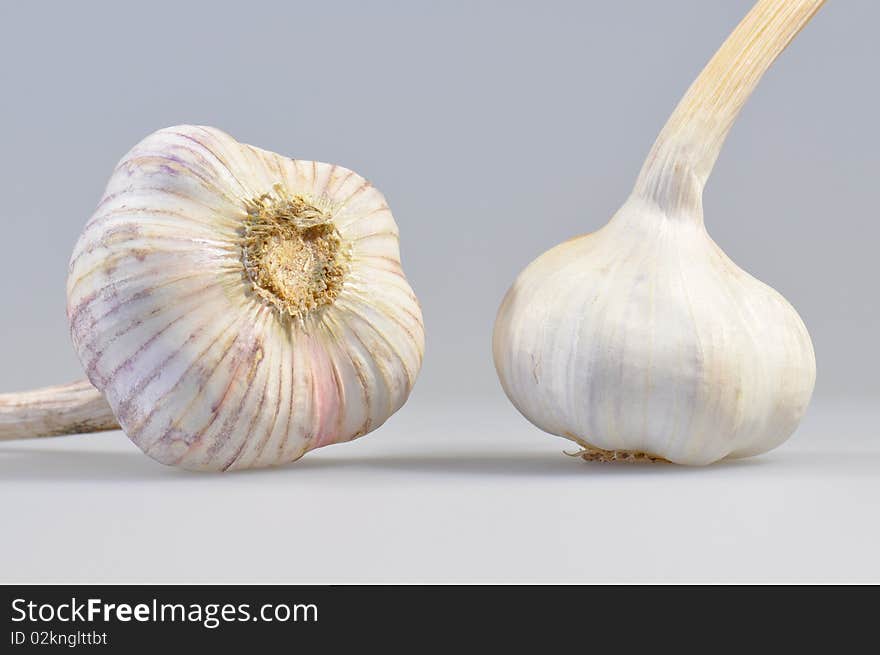 Garlic