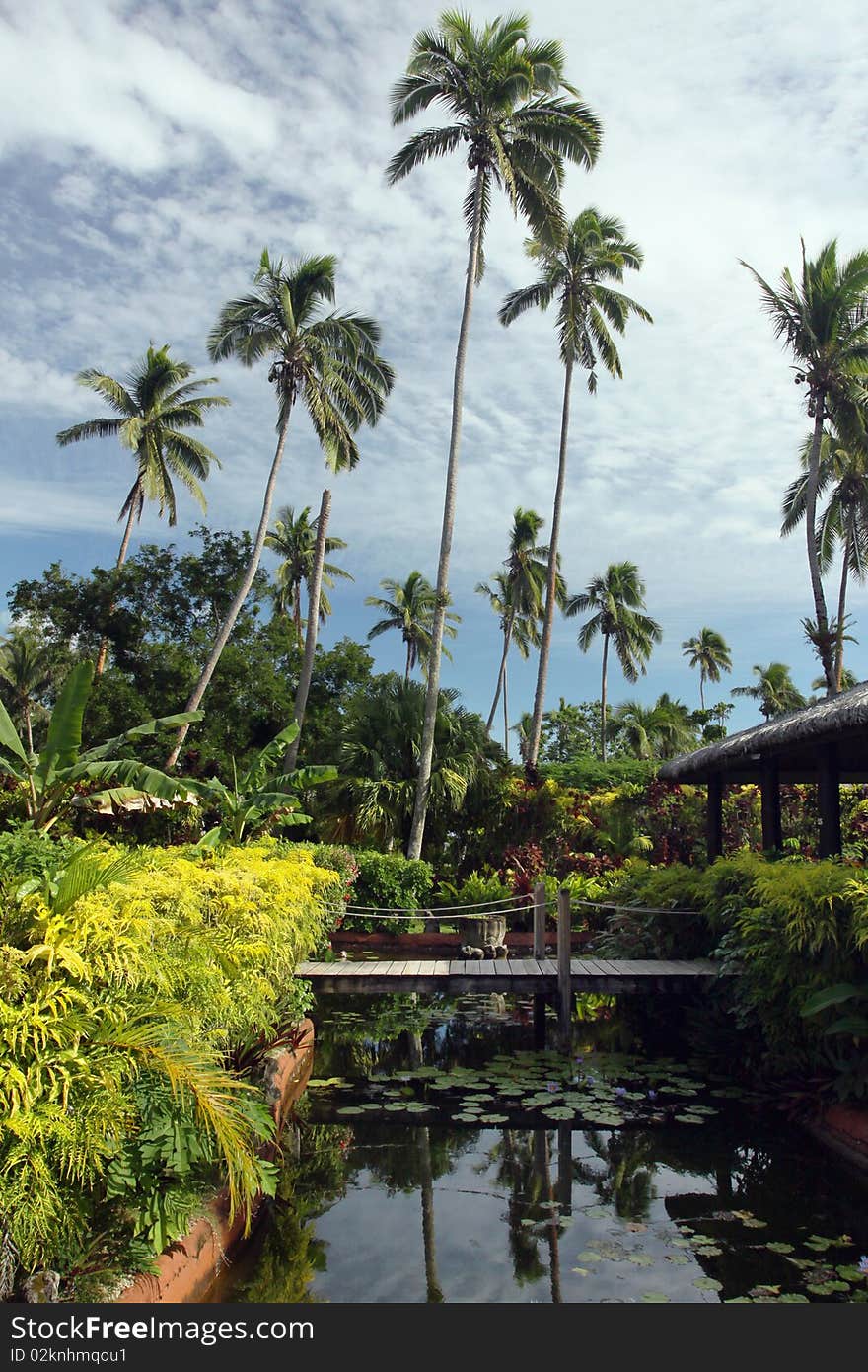 Tropical resort with palm trees and pond. Tropical resort with palm trees and pond