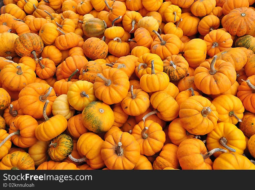 Pumpkin background