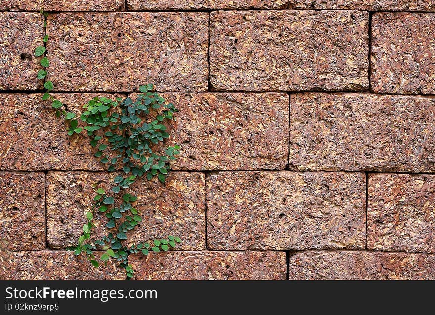 Brick red background with beautiful trees