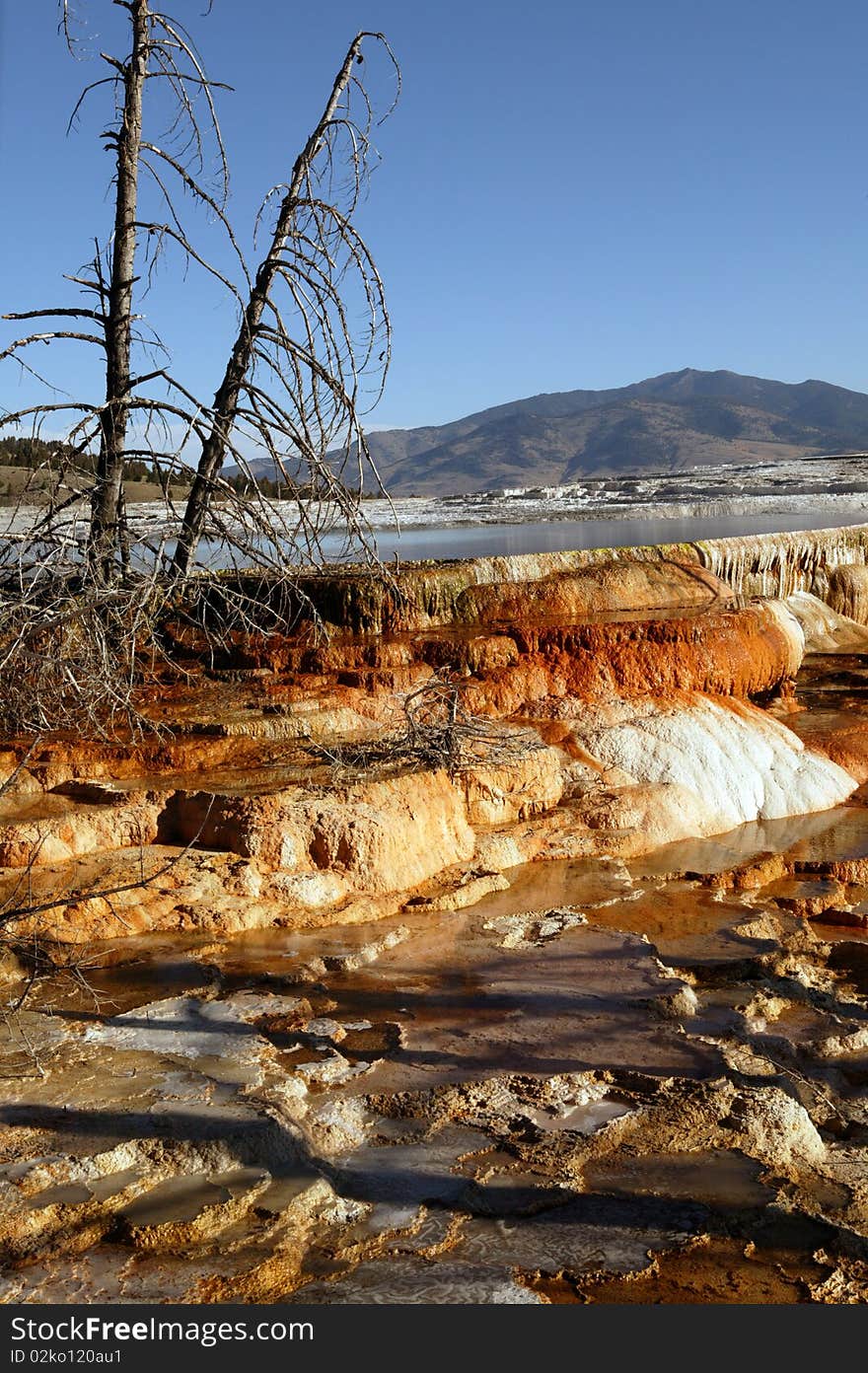 Plendor Of Mammoth Springs