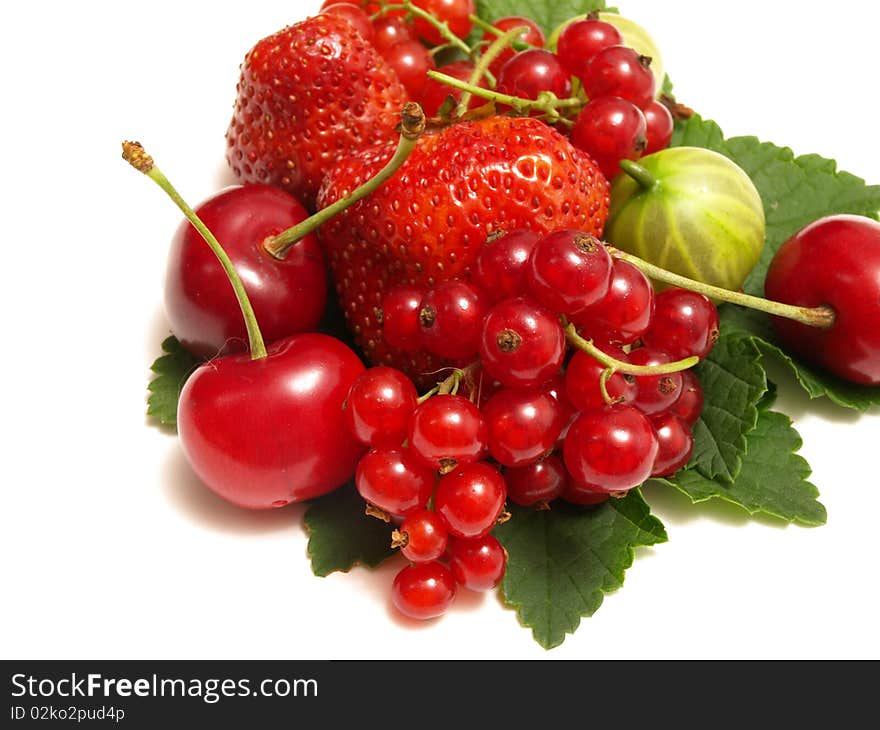 The gooseberry is very tasty and useful berry. The gooseberry is very tasty and useful berry