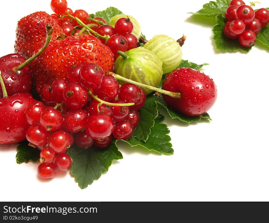 The gooseberry is very tasty and useful berry. The gooseberry is very tasty and useful berry