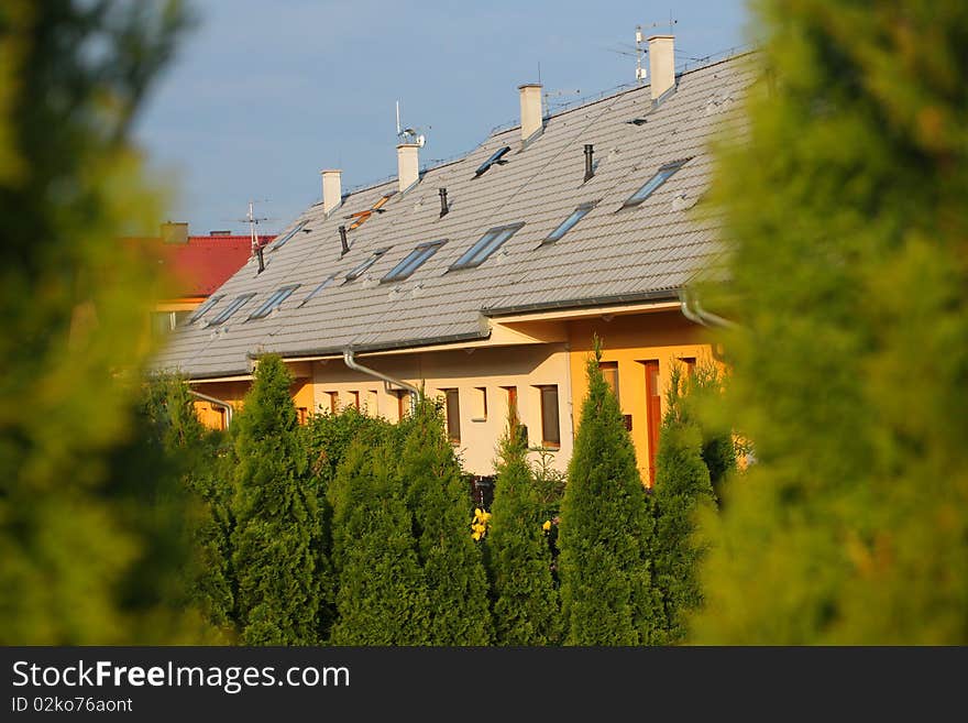 Yellow attached houses among green coniferous trees. Yellow attached houses among green coniferous trees