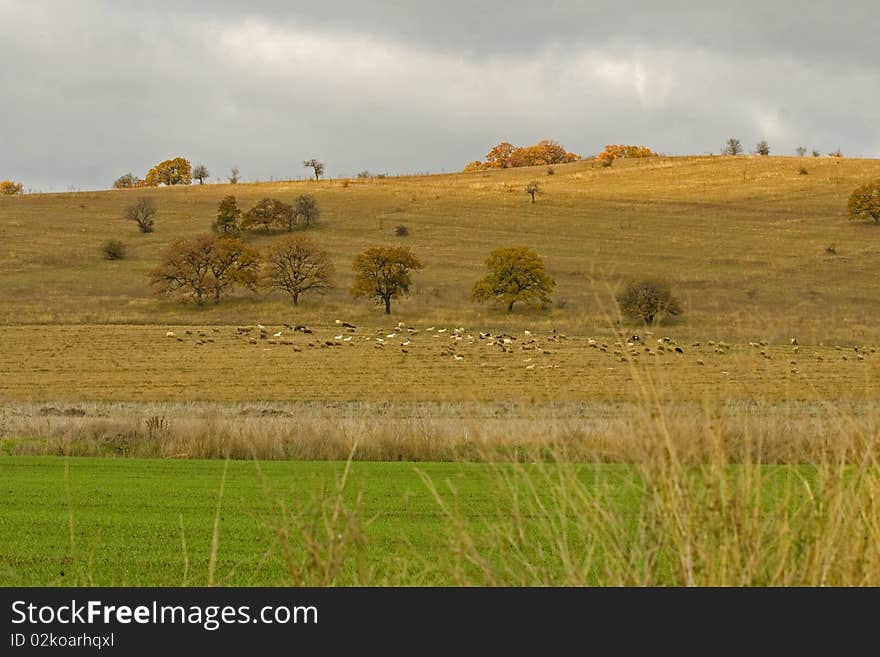 Autumn Landscape on the Hills