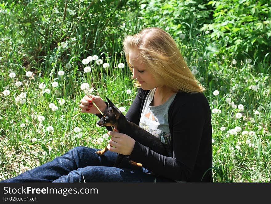 Blond girl playing with small black dog. Blond girl playing with small black dog