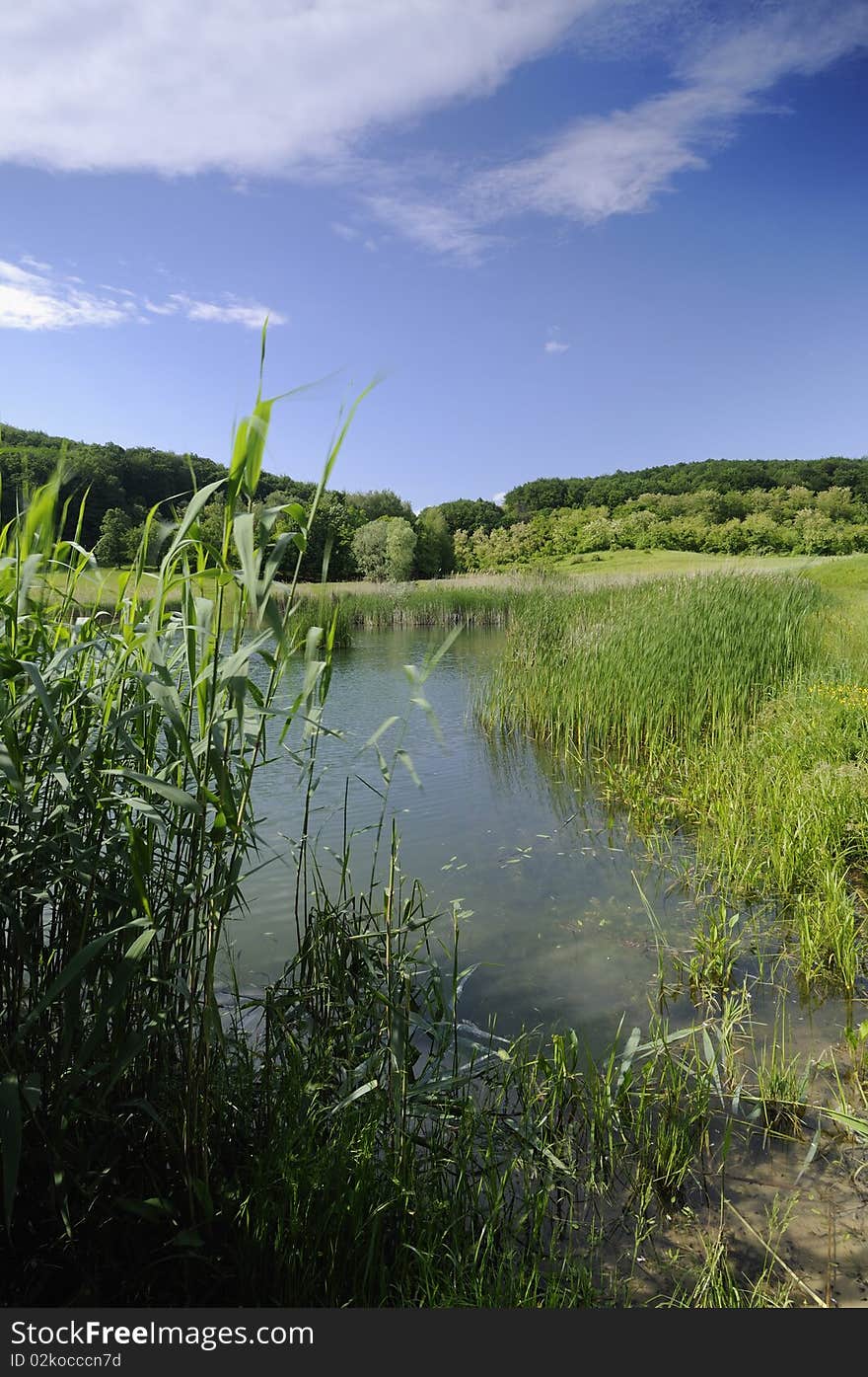 View on the lake surrounded by dense forest. View on the lake surrounded by dense forest