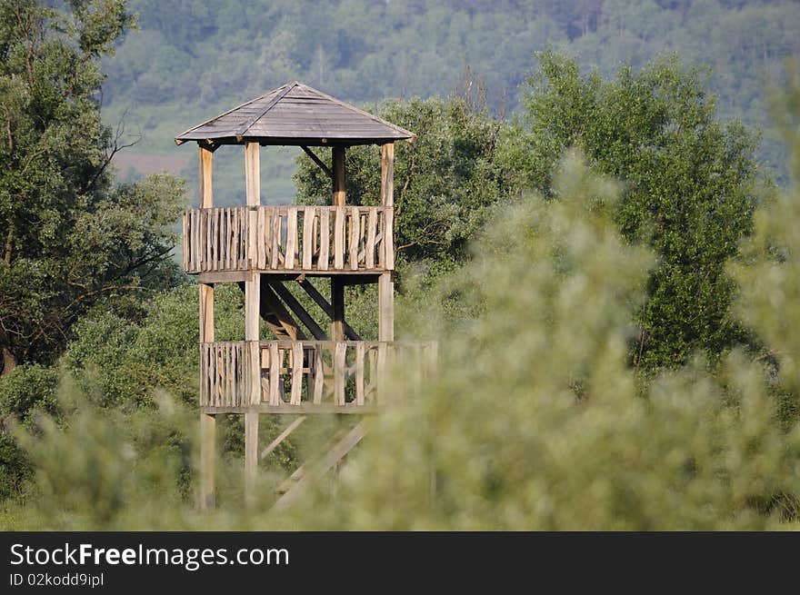 Wooden watchtower surrounded by woods