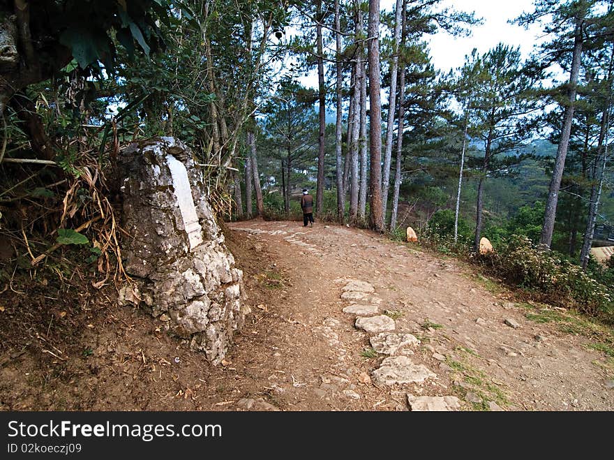 Markers on an Unpaved Country Pathway