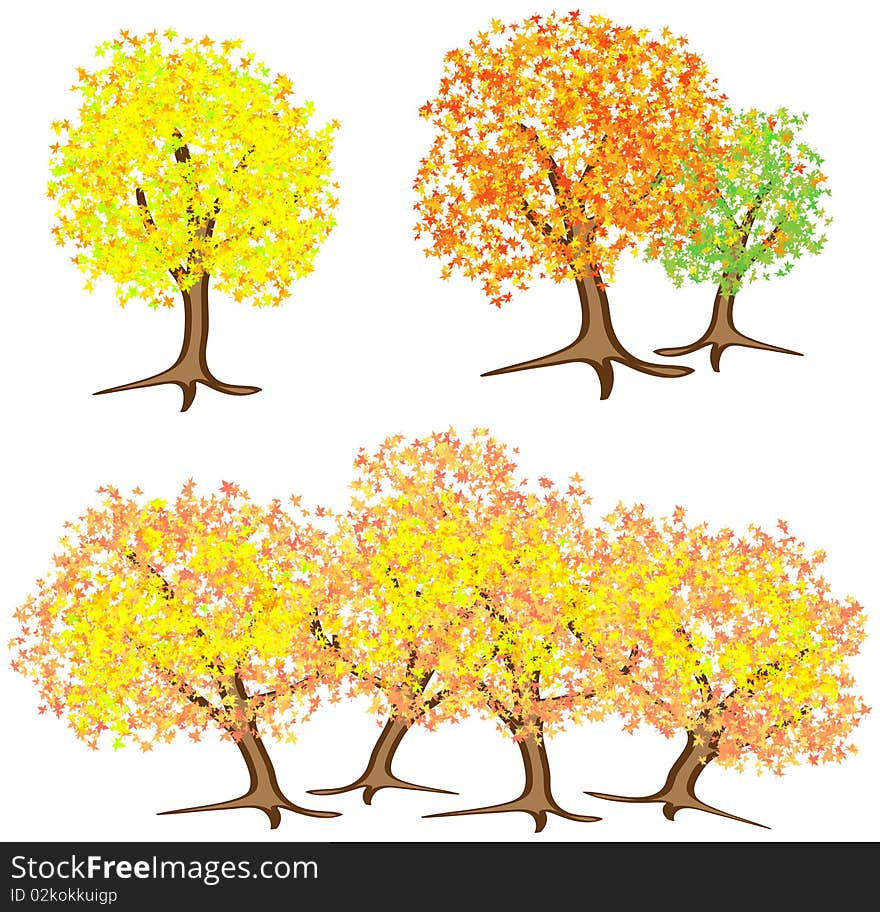 Autumn trees isolated on white background