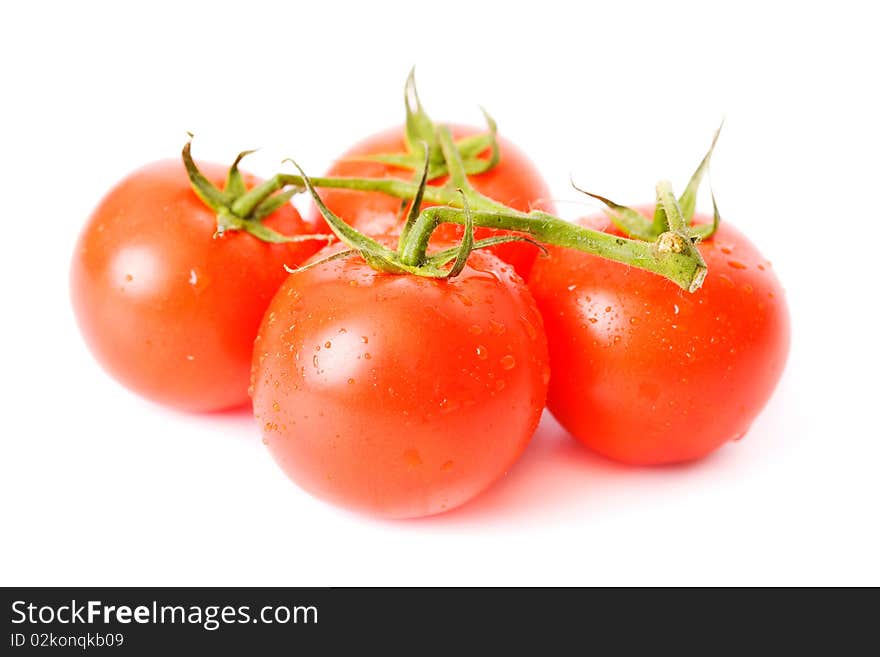 Fresh tomatoes over white