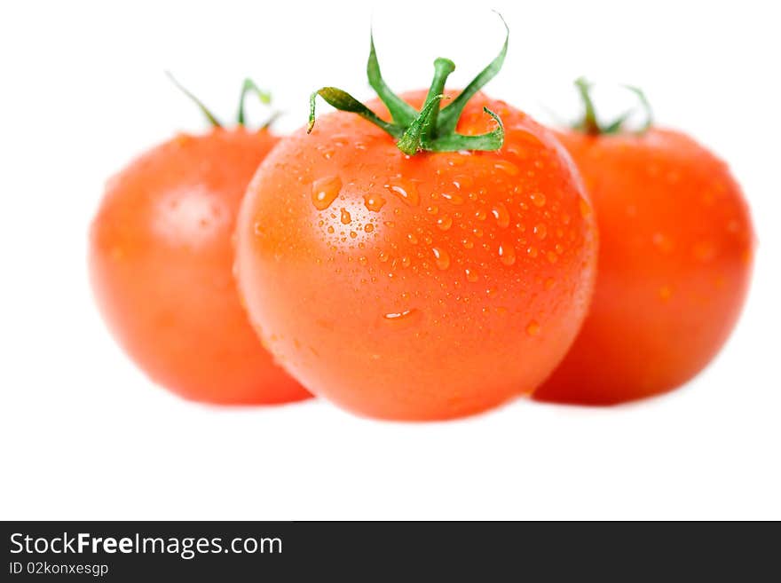 Fresh Tomatoes Over White