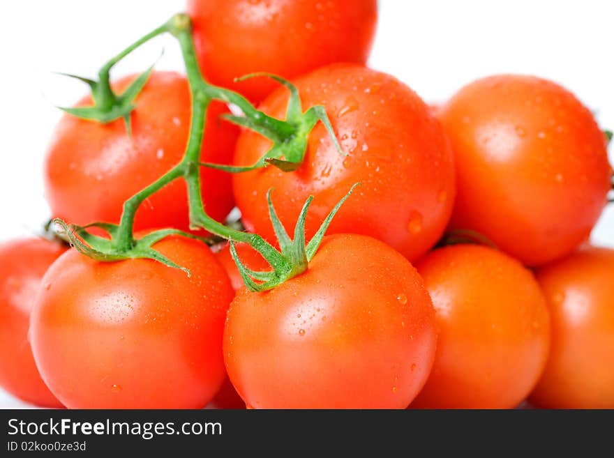 Fresh Tomatoes Over White