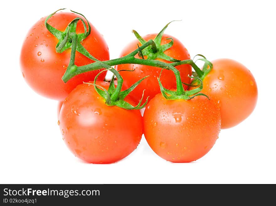 Fresh tomatoes over white