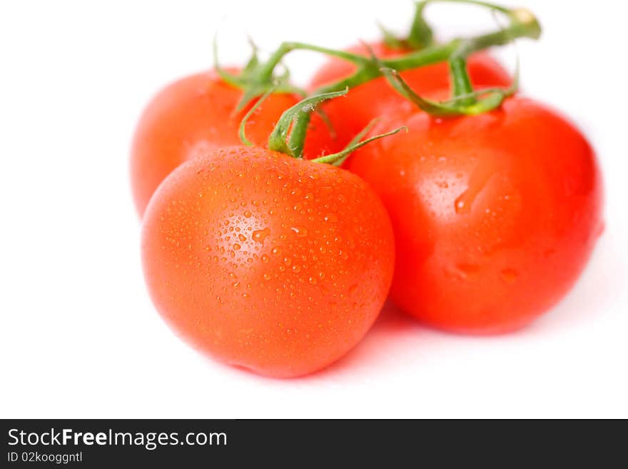 Fresh Tomatoes Over White