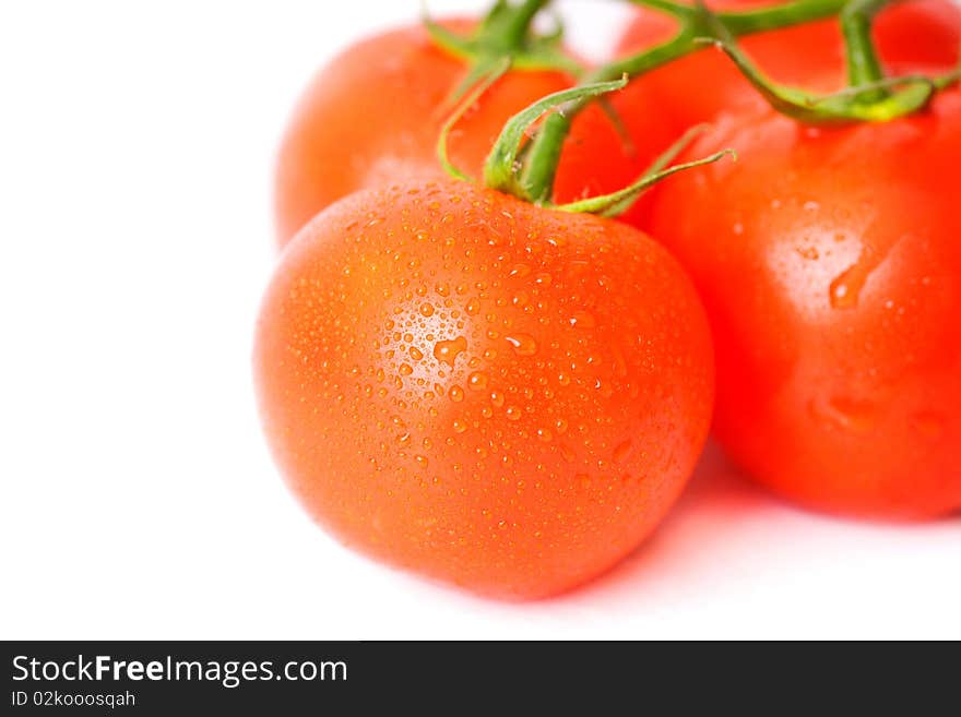 Fresh tomatoes over white