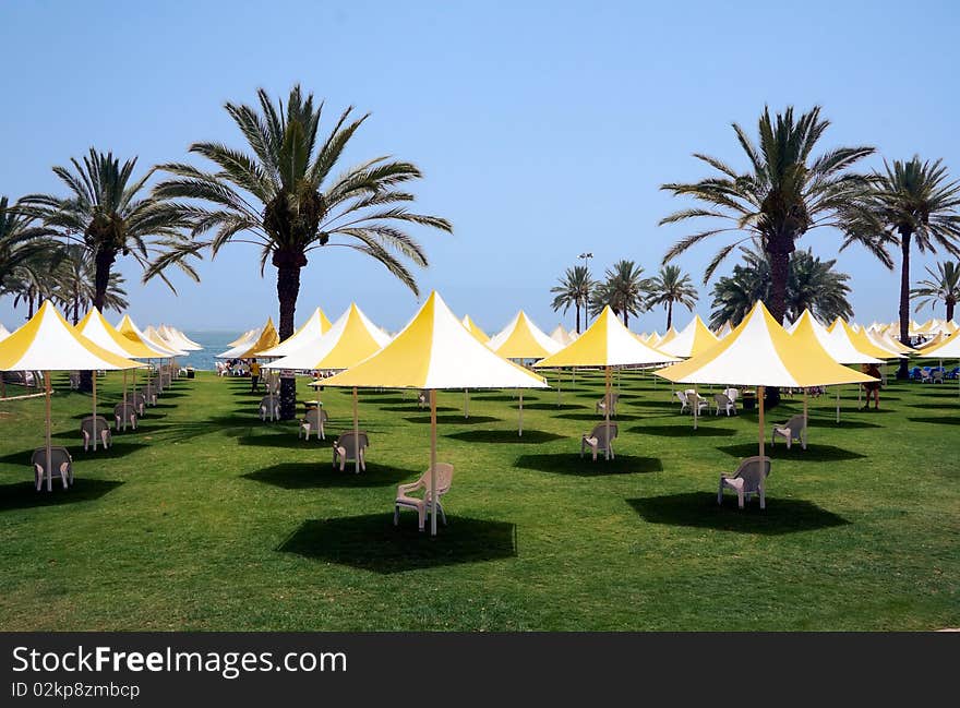 Beach view with colorful sunshade  , palm and green grass