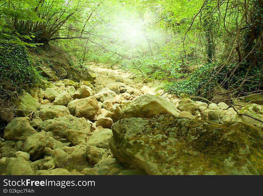 forest green jungle landscape leaf morning rock waterfall. forest green jungle landscape leaf morning rock waterfall