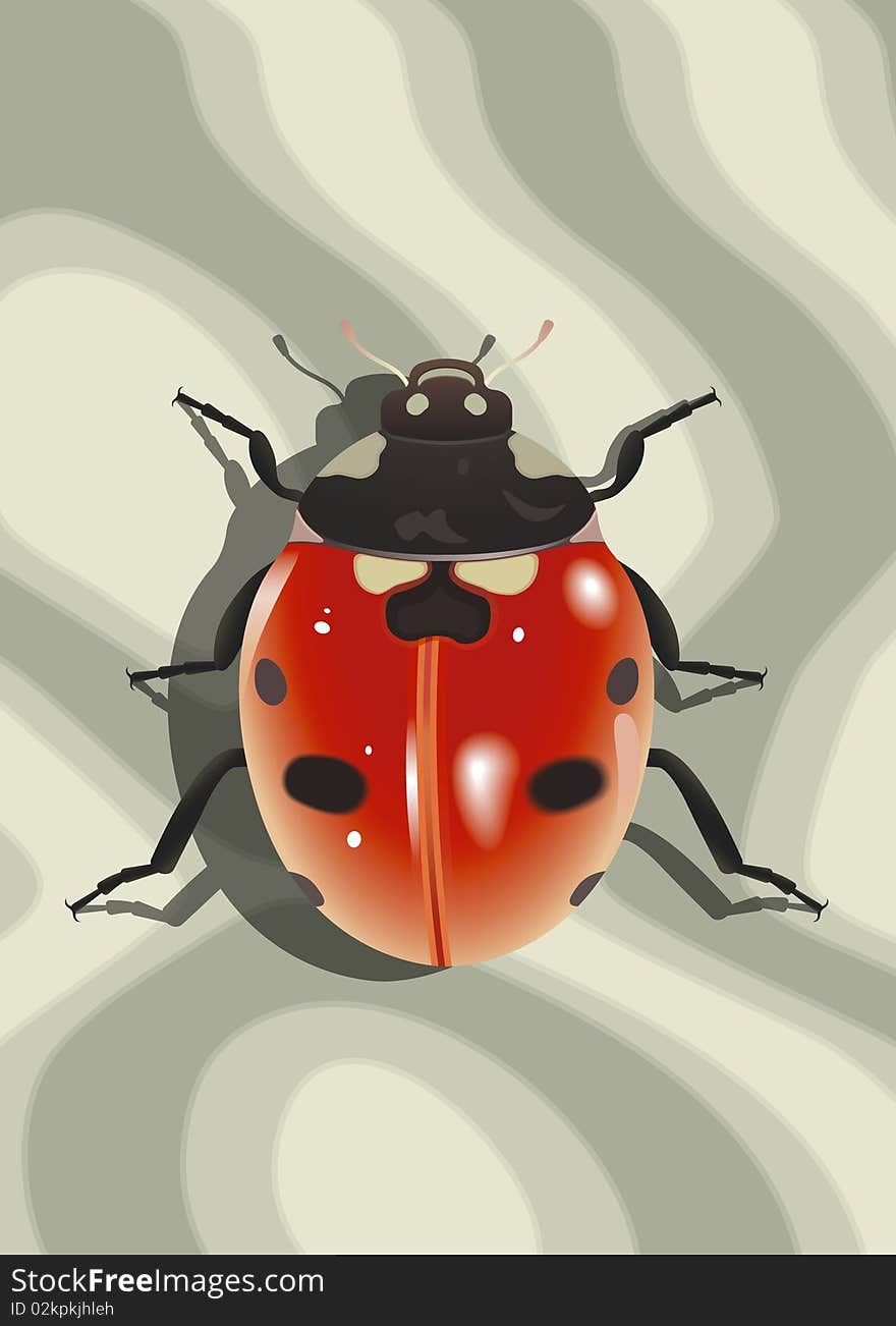 Ladybird on surface with abstract texture. Vector illustration