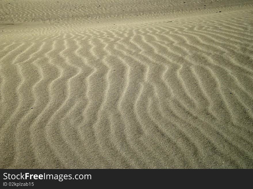 Infrared shot of sand pattersn on Cape Hatteras with a desert feel. Infrared shot of sand pattersn on Cape Hatteras with a desert feel.