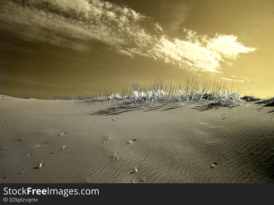 Sun rising behind a dune shot with infrared equipment. Sun rising behind a dune shot with infrared equipment