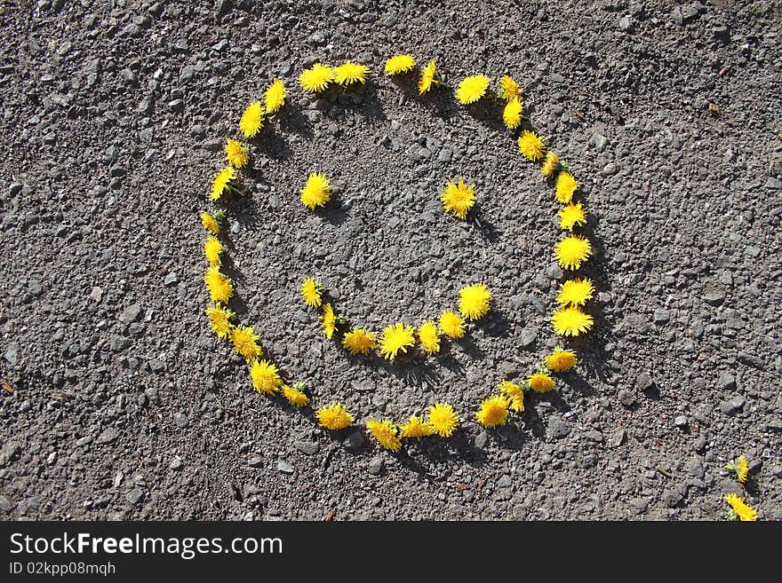 Signs from colours of a dandelion on asphalt. Signs from colours of a dandelion on asphalt