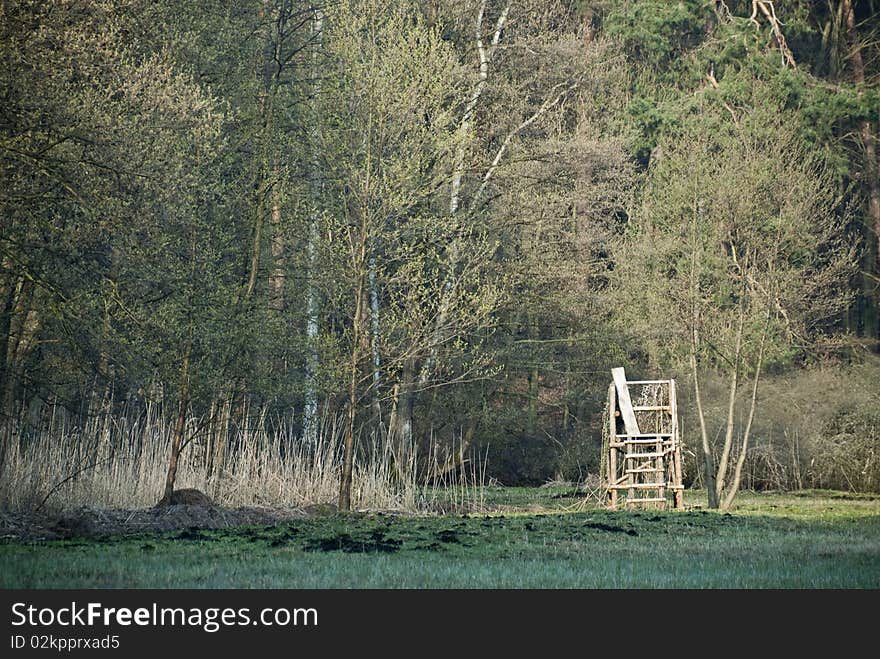 A high seat in a swamp forest in Brandenburg