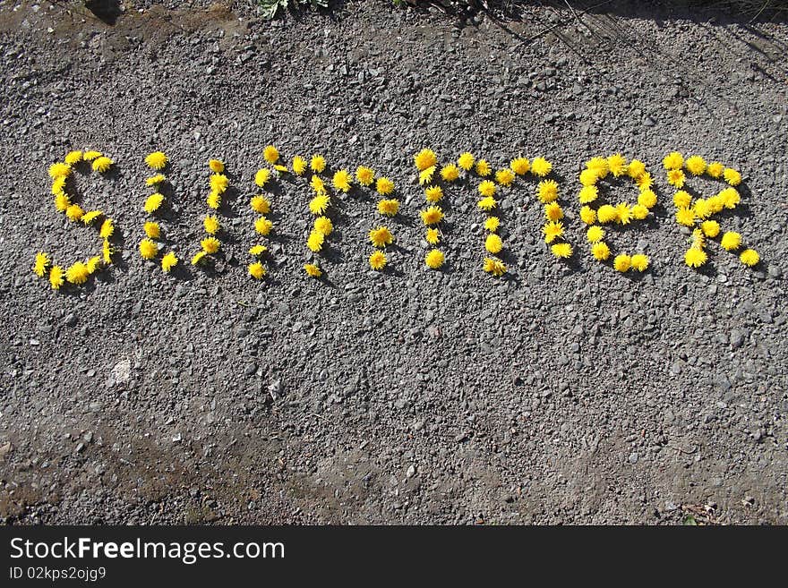 Signs from colours of a dandelion on asphalt. Signs from colours of a dandelion on asphalt