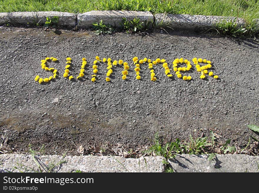 Signs from colours of a dandelion on asphalt. Signs from colours of a dandelion on asphalt