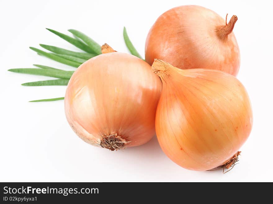 Fresh bulbs of onion on a white background