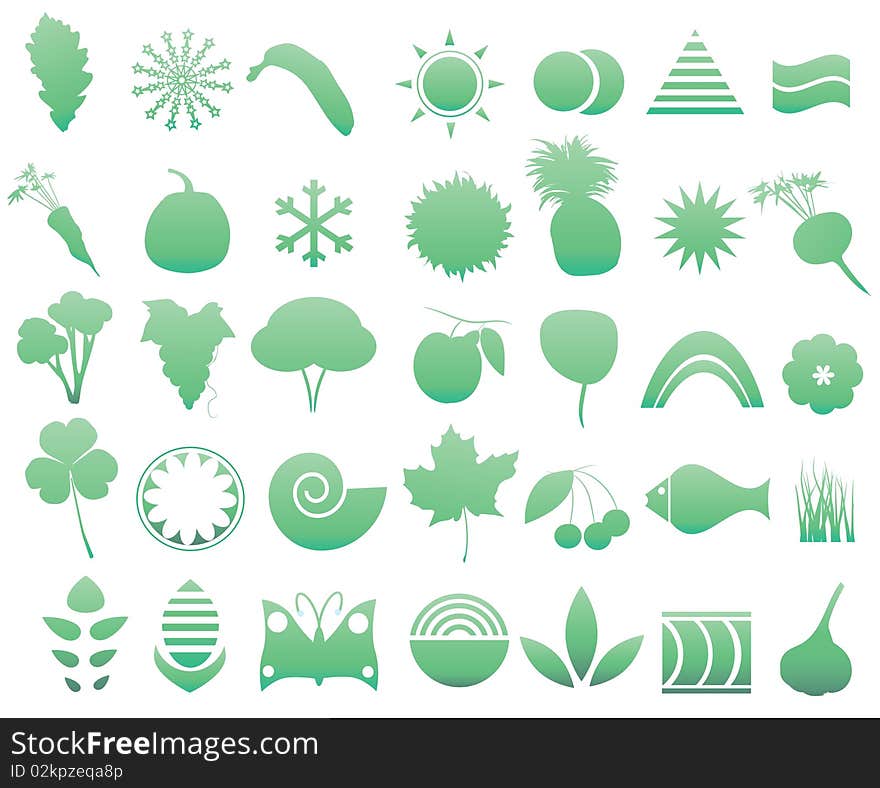 Vector illustration of abstract nature elements