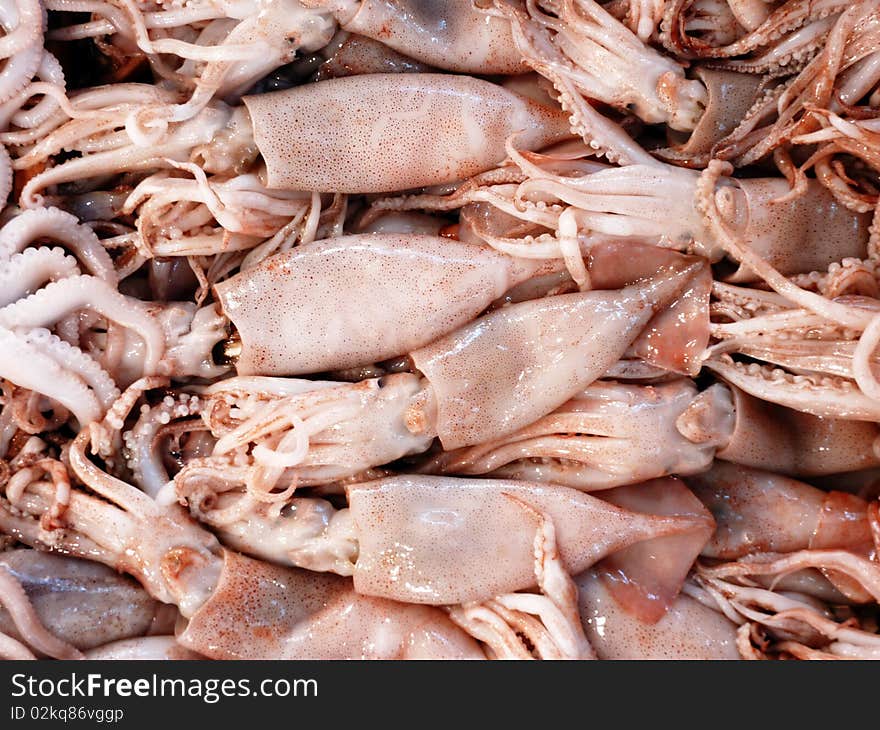 Fresh squids closeup at the local market