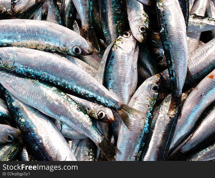 Fresh anchovies closeup background at the local market