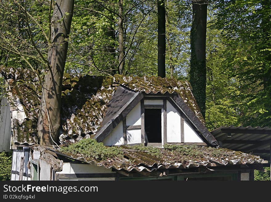 Little timbered house with a tree, Germany