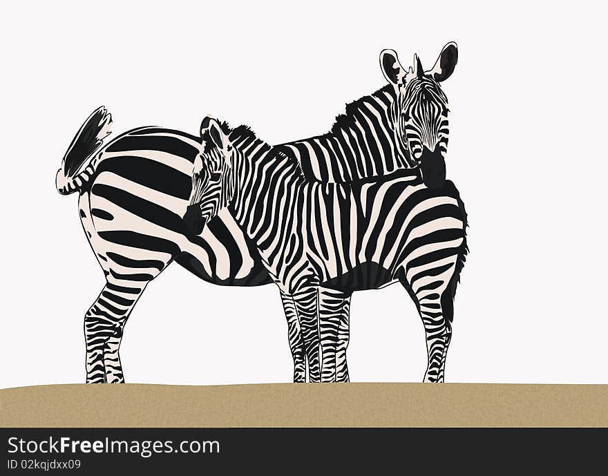 A drawing of a zebra with their young animal. A drawing of a zebra with their young animal.