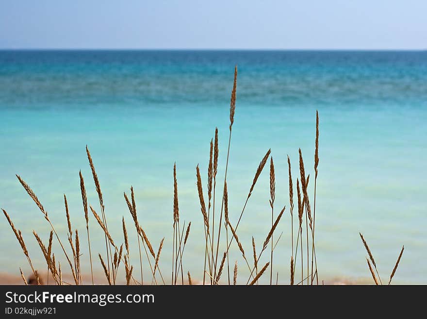 Sea seen through the ears