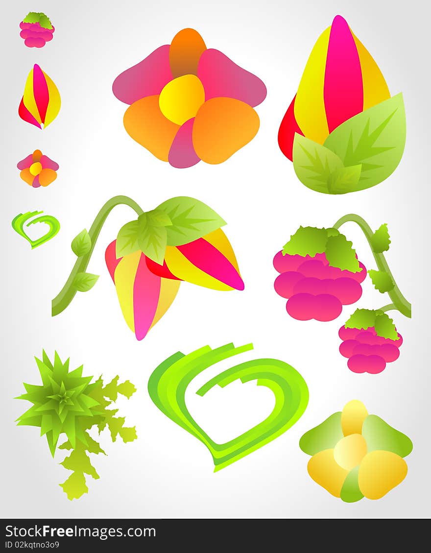 Vector Flowers And Fruits Illustration