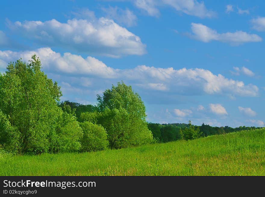 Fresh green grass with bright blue sky and sunburst background. Fresh green grass with bright blue sky and sunburst background