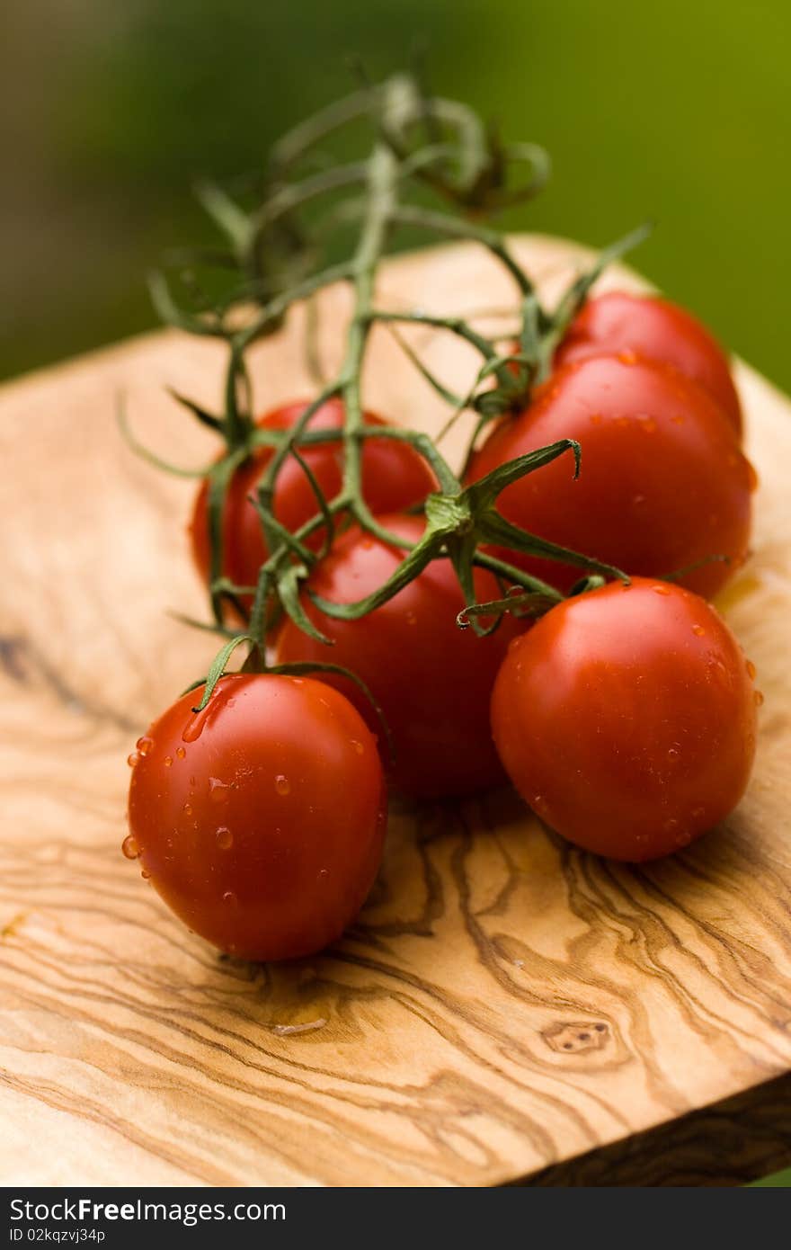 Close up shot,tomatoes on the vine