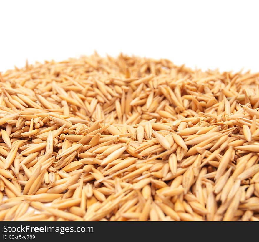 Mature grains of wheat in a peel